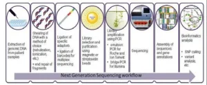 Next Generation Sequencing