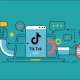 TikTok SEO Agency