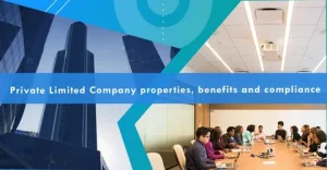 Private Limited Company