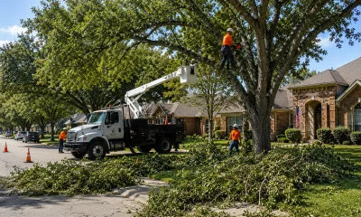 Tree Removal Cost Calculator