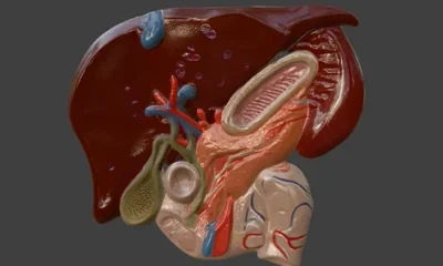 Biliary Tract