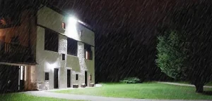 Flood Light