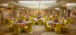 Delhi Caterers