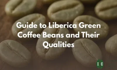 Nutrabuff Green Coffee