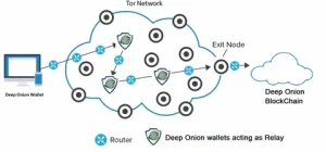 Onion Networking