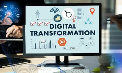 Software Consulting Services