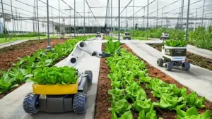 Farm Mechanization