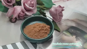 Rhodiola Root Powder