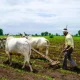 Farm Mechanization