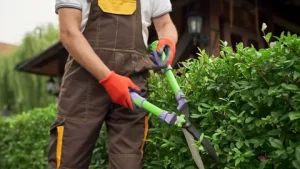 Tree Planting Services