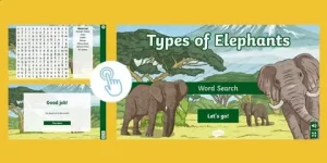 Elephants Word Search Puzzle