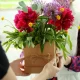 Flowers Delivery