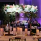 Fresh Floral Displays