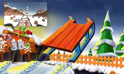 Snow Rider Game