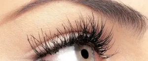 eyelash hair transplant