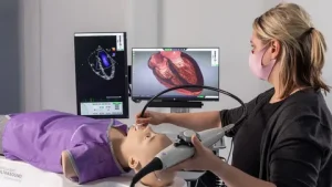 Echocardiogram Beveridge