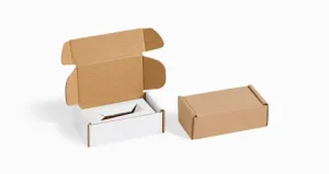 Mailer Boxes with Inserts