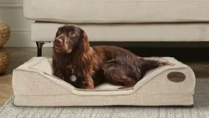 calming donut dog bed