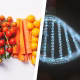Nutrigenomics