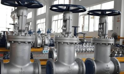Bellow Seal Valve